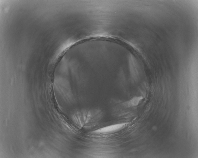 X0000078031359200611251545