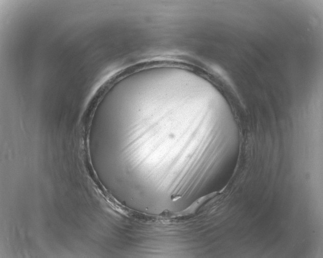 X0000078031360200611251545