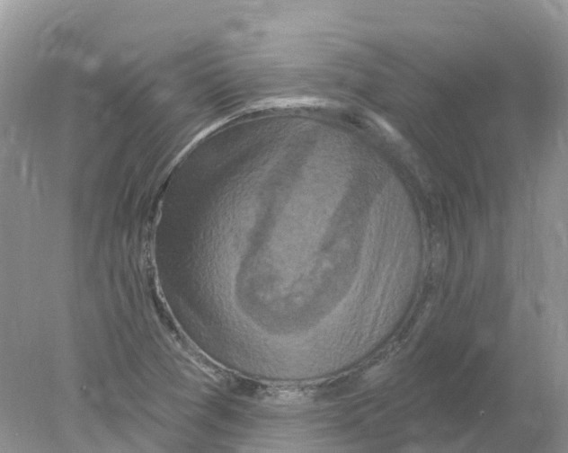 X0000078031361200611251545