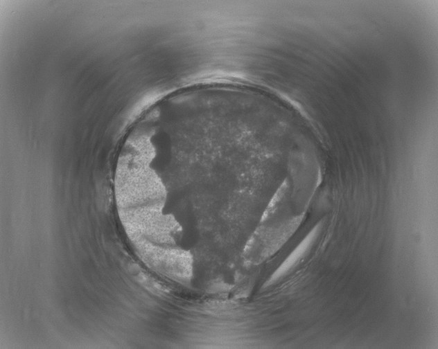 X0000078031363200611251545