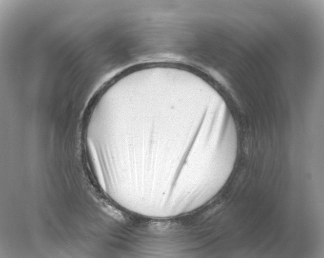 X0000078031364200611251545