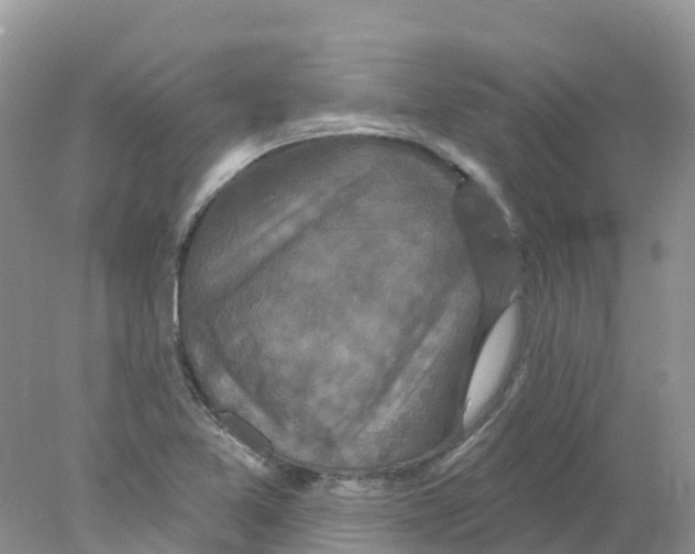 X0000078031365200611251545