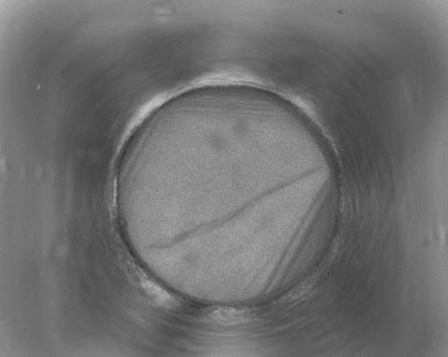 X0000078031366200611251544