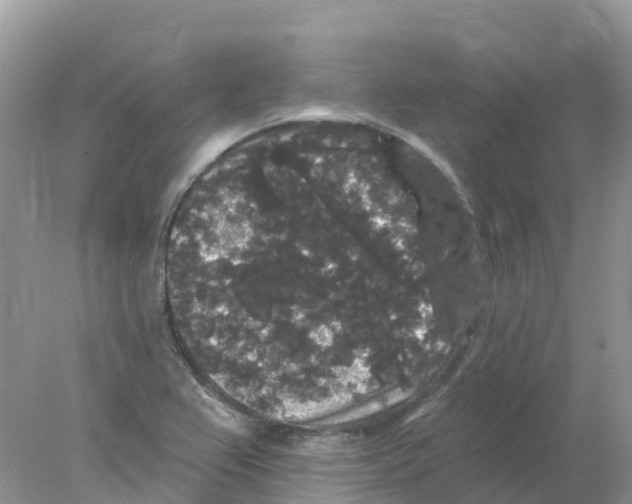 X0000078031367200611251544