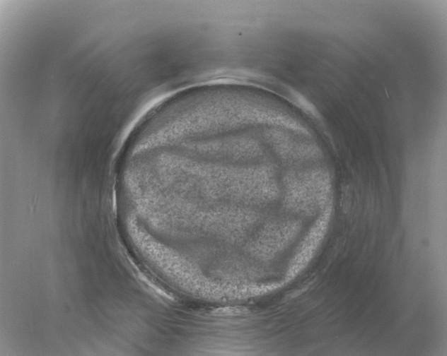 X0000078031368200611251544