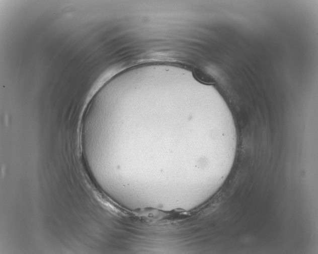 X0000078031370200611251544