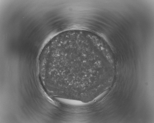 X0000078031371200611251544