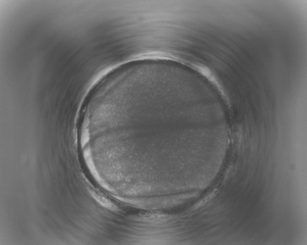 X0000078031372200611251544