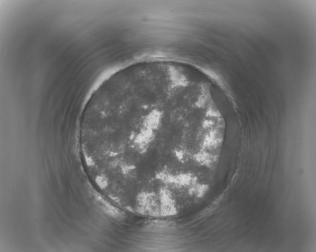 X0000078031374200611251544