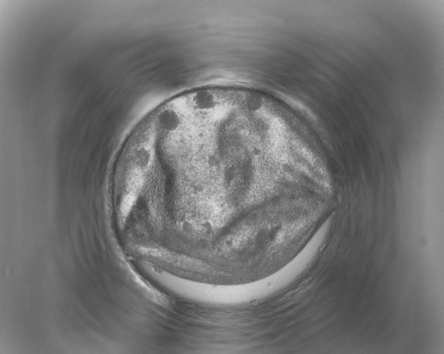 X0000078031375200611251544