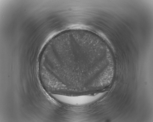 X0000078031376200611251544