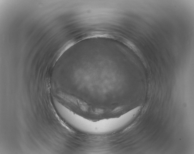 X0000078031377200611251544