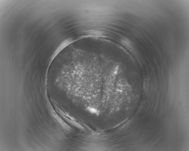 X0000078031378200611251544