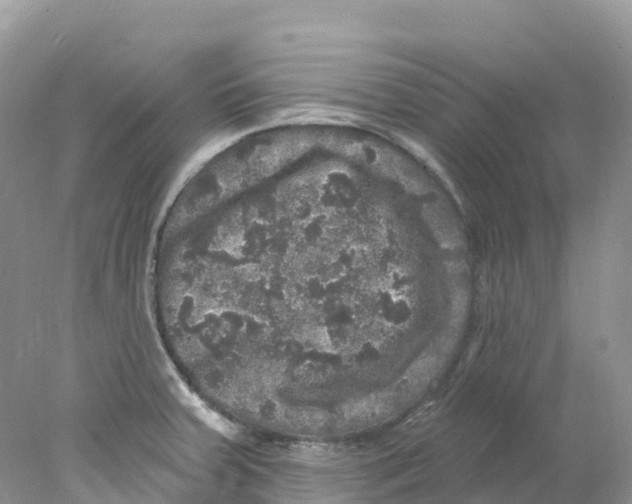 X0000078031379200611251544