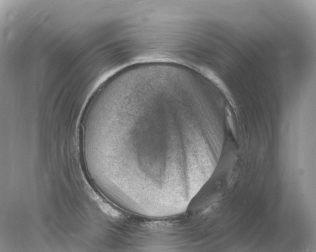 X0000078031380200611251544