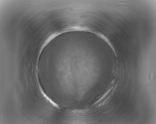 X0000078031381200611251544