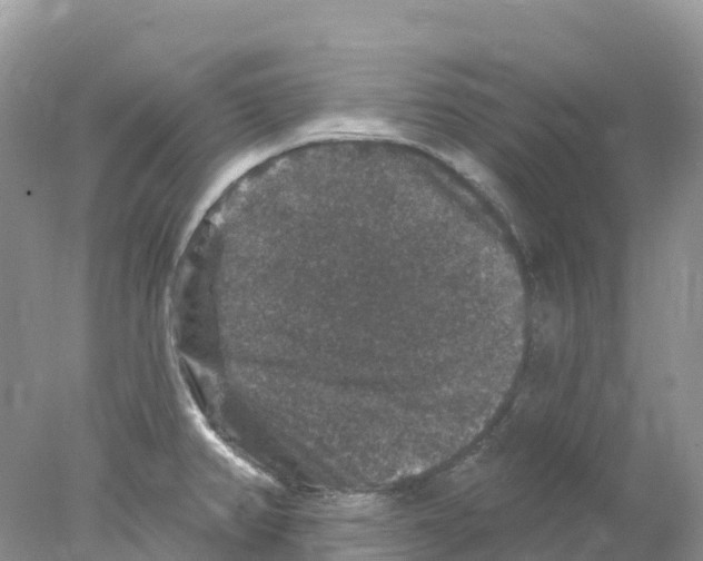 X0000078031382200611251544