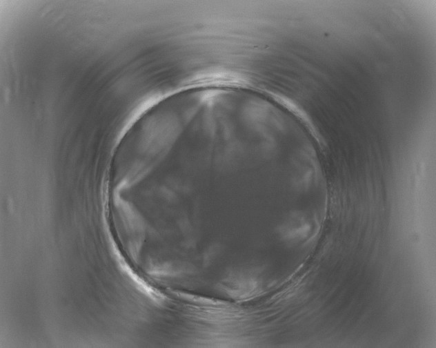 X0000078031383200611251544