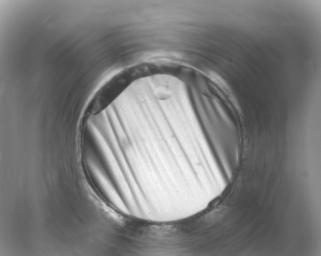 X0000078031384200611251544