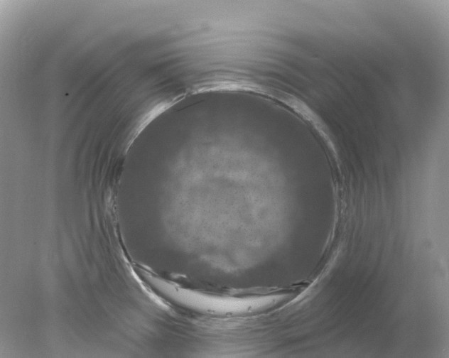 X0000078031385200611251544