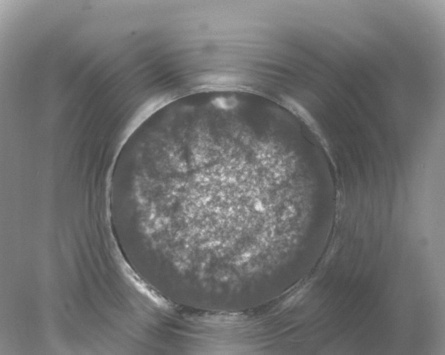 X0000078031386200611251544