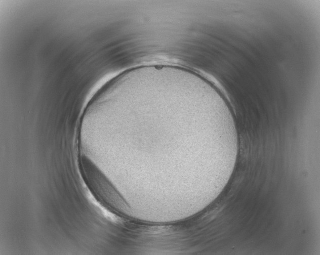 X0000078031387200611251544