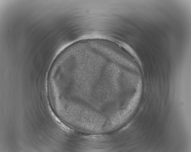 X0000078031388200611251544