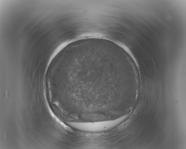 X0000078031389200611251544