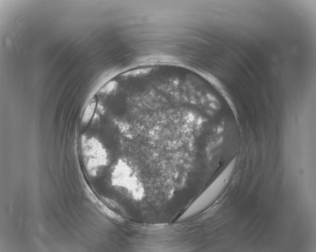 X0000078031390200611251544