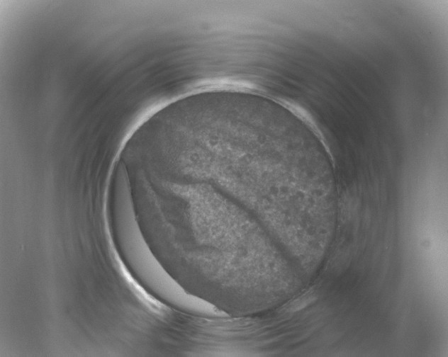 X0000078031391200611251544