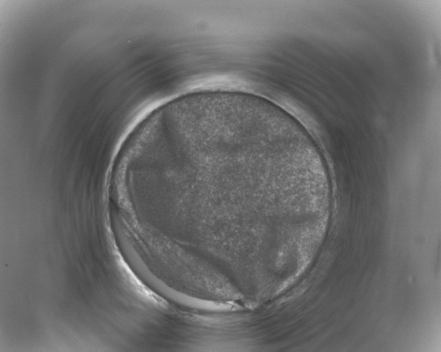 X0000078031392200611251544