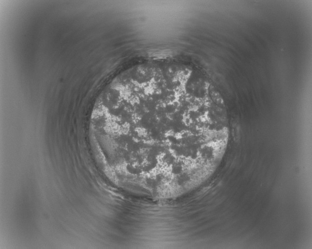 X0000078031393200611251543