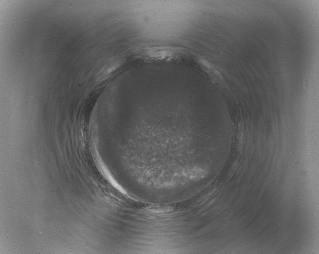 X0000078031394200611251543