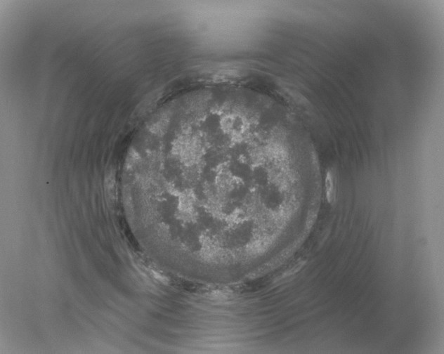 X0000078031395200611251543