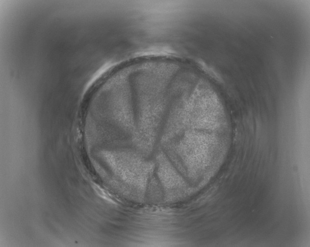 X0000078031400200611251543