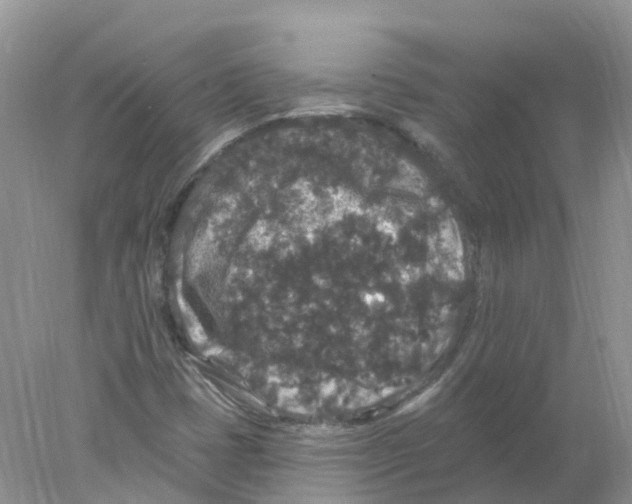 X0000078031401200611251543