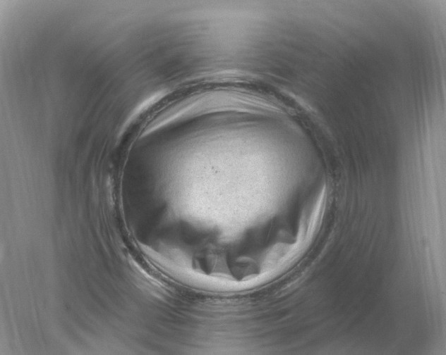 X0000078031402200611251543