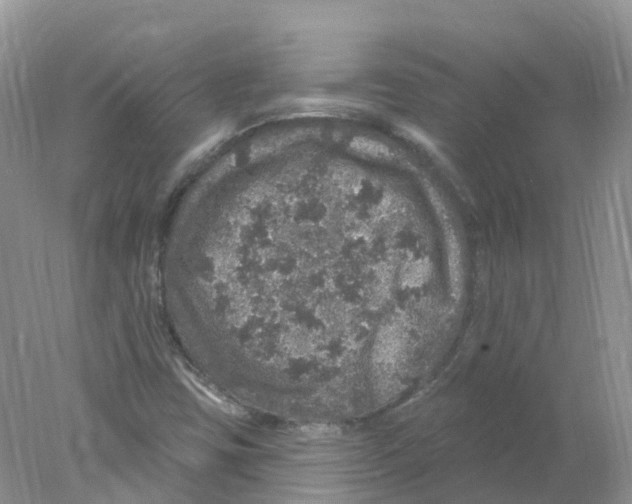 X0000078031403200611251543