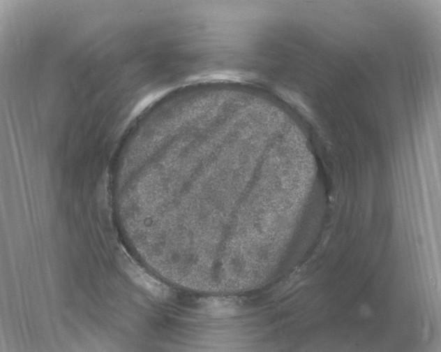 X0000078031404200611251543