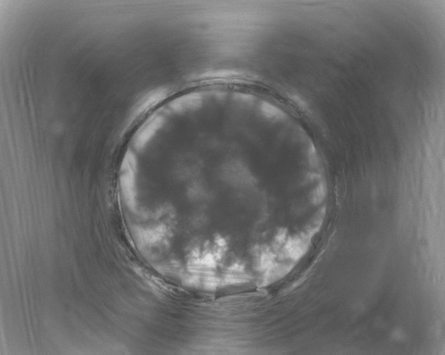 X0000078031405200611251543