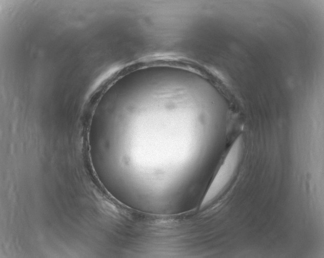 X0000078031406200611251543