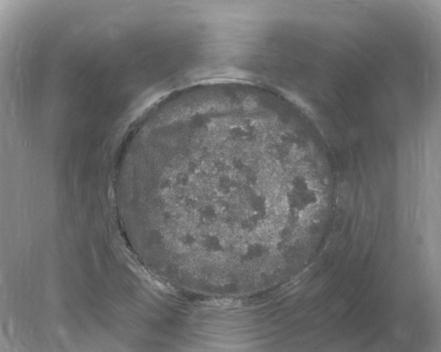 X0000078031407200611251543