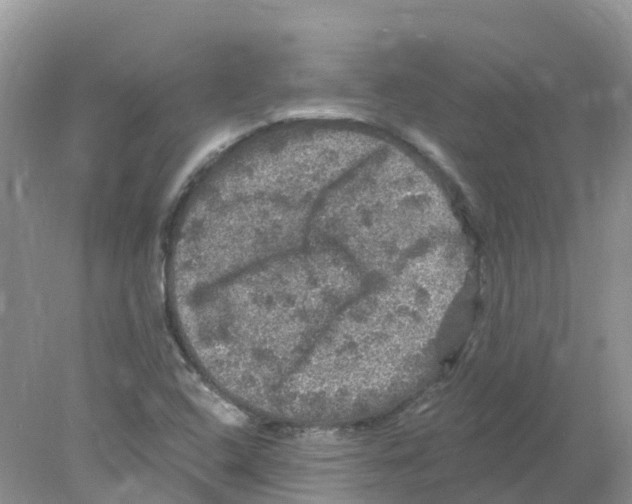 X0000078031408200611251544