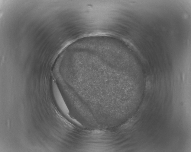 X0000078031409200611251544