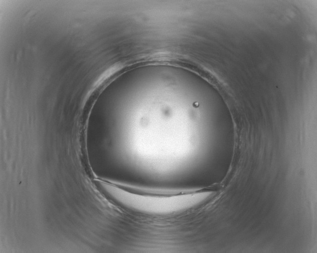 X0000078031410200611251544