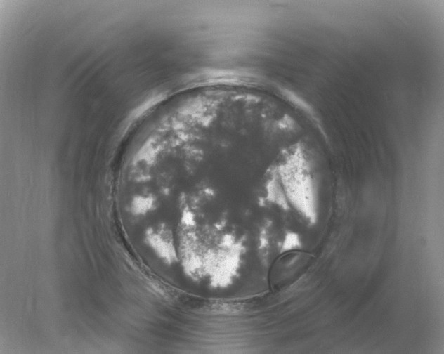 X0000078031411200611251544