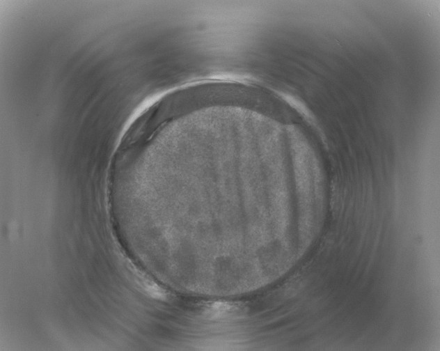 X0000078031412200611251544