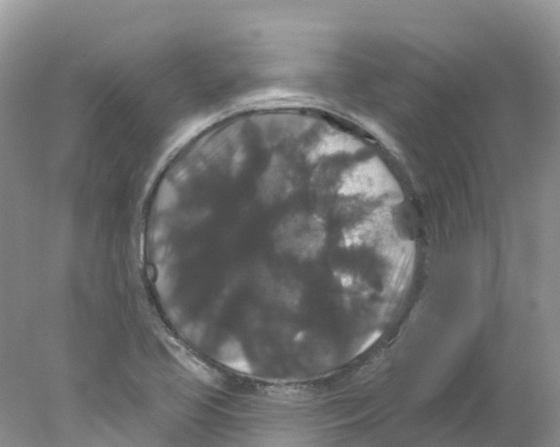 X0000078031413200611251544