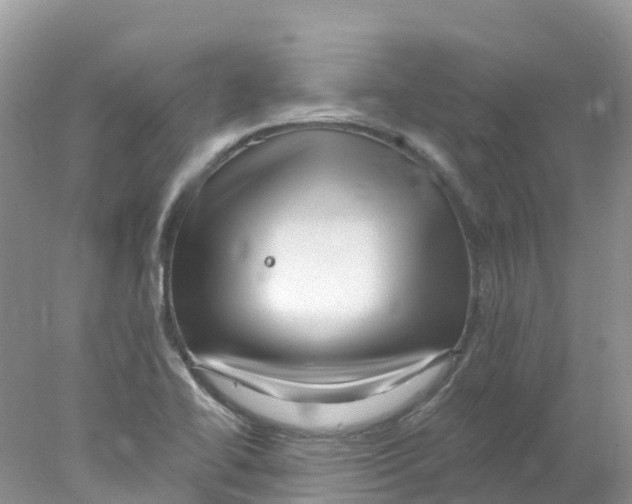 X0000078031414200611251544