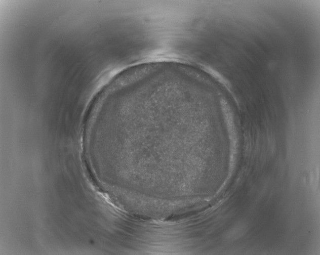 X0000078031415200611251544